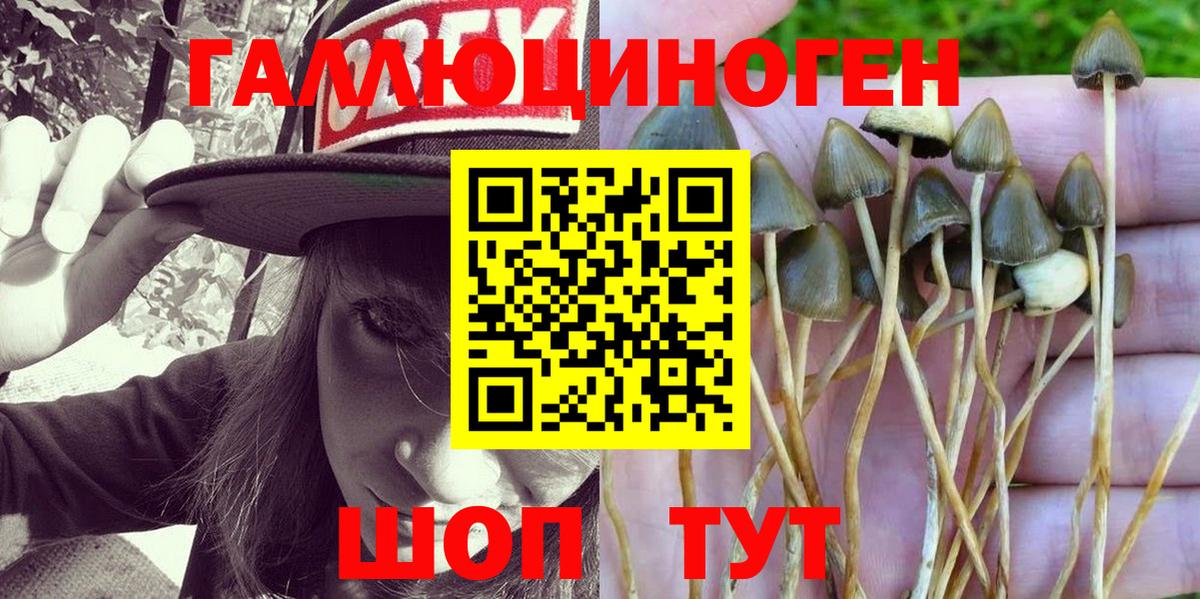 Галлюциногенные грибы Magic Shrooms  Галлюциногенные грибы ЛСД  как найти закладки  Вход с VPN  Каменск-Шахтинский 
